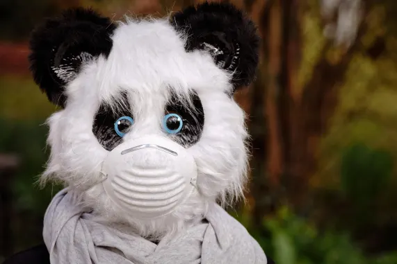 Casino Eight Storm Ënnerstëtzung